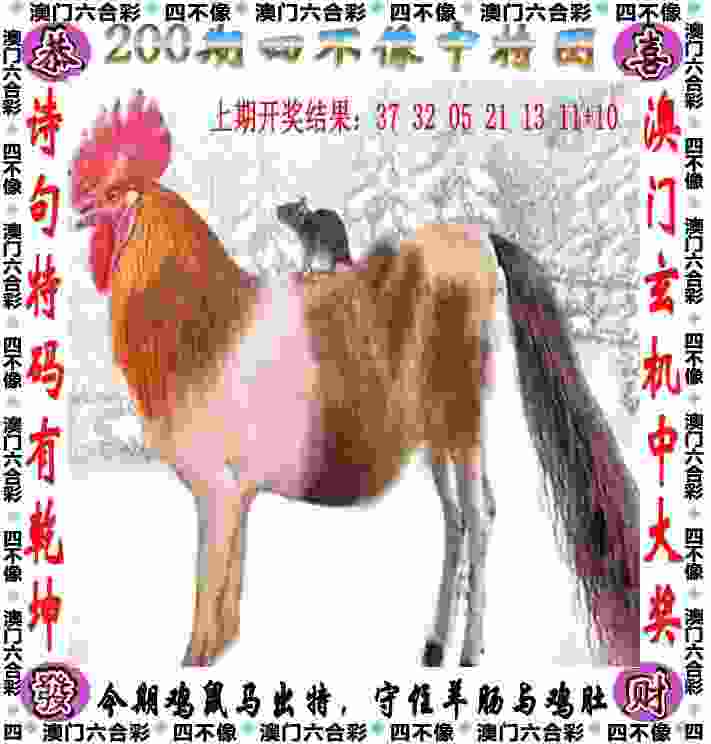 天津津门虎 vs 成都蓉城